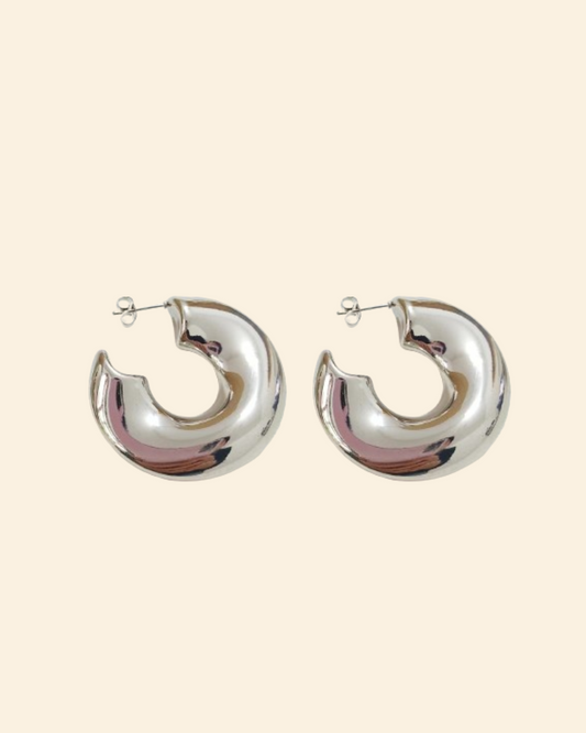 Camila earrings (plateado)