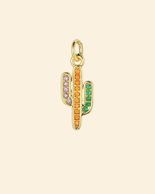 Cactus colorido charm