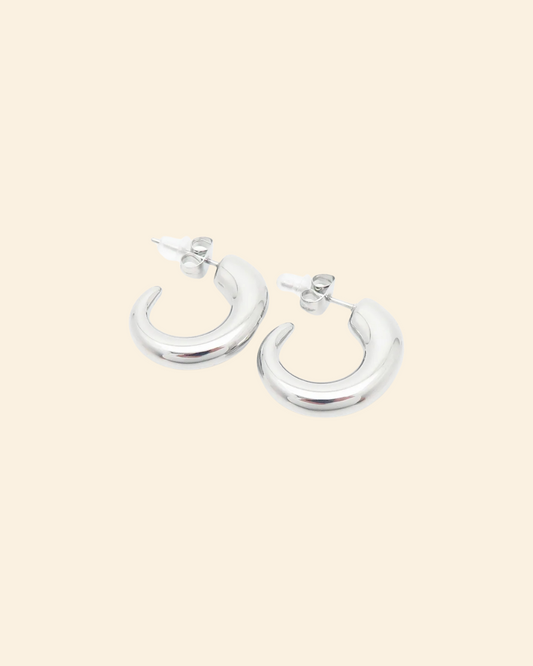 Camille earrings (plateado)