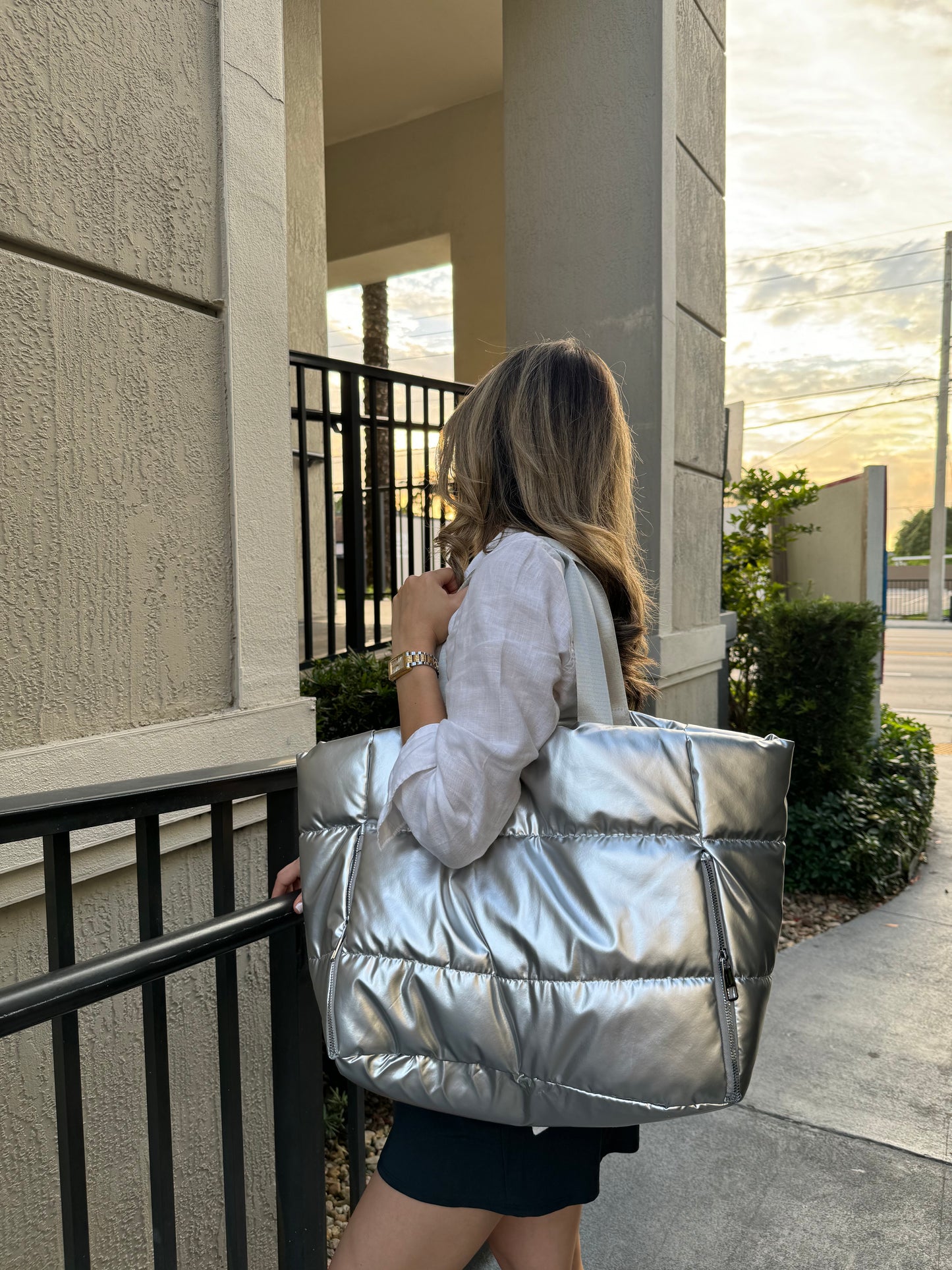 Metallic travel bag